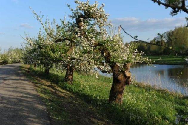Bed & Breakfast De Neust Beesd Экстерьер фото